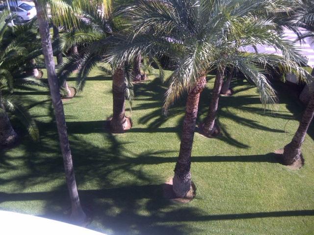 Apartment Martinez Casablanca Alcossebre Zewnętrze zdjęcie